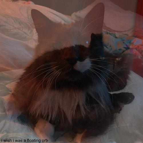 i wish i was a floating orb