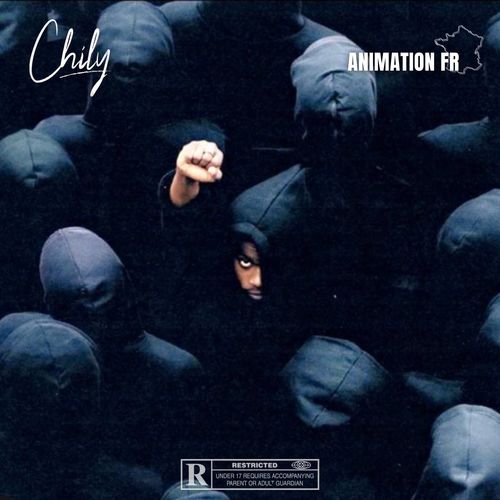 Animation FR (Explicit)