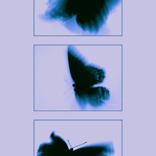 Her Nerdeysen (Explicit)