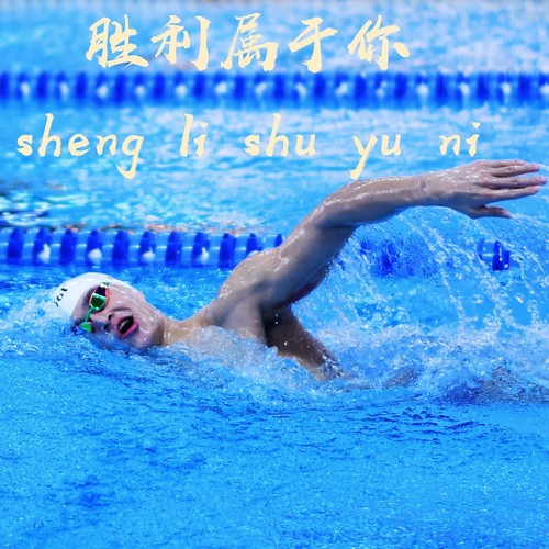 胜利属于你（群星）