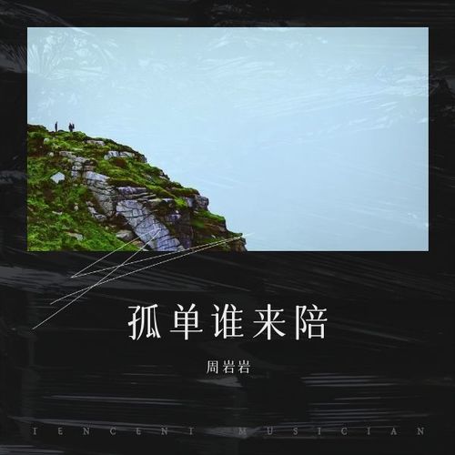孤单谁来陪