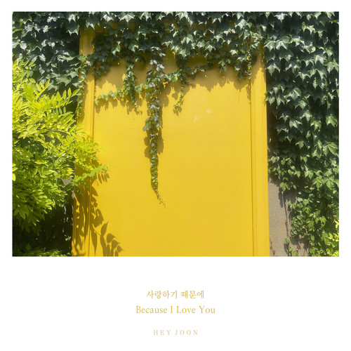 사랑하기 때문에 (Because I Love You)