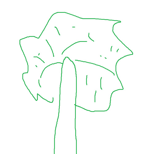 Ary