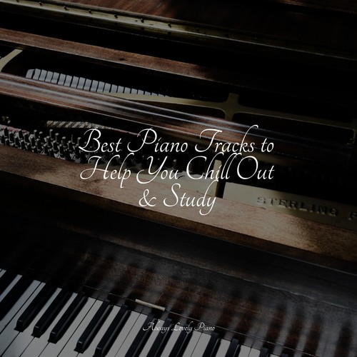 Soft Melodies for Quiet Listening and Relaxation