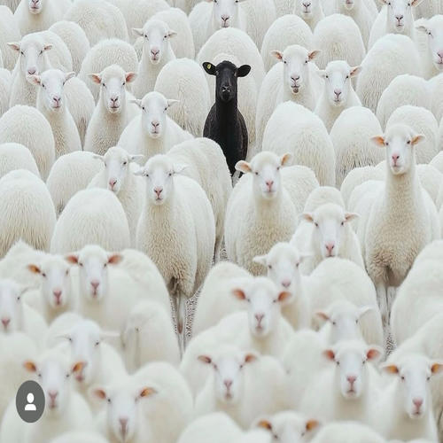 Back and Better (Explicit)