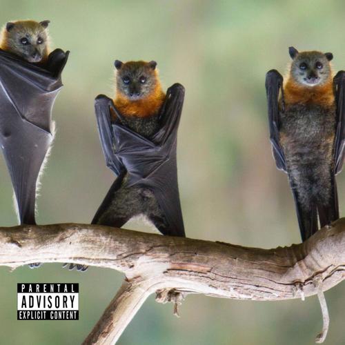 Bat Talk 3 (Explicit)