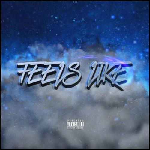 Feels Like (feat. RAPH) [Explicit]