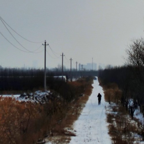 北方的冬天没有音乐