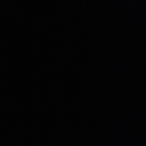WILD (feat. SEI & Chillax Dripp) [Explicit]