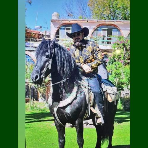 Corrido De Goyo Estrada