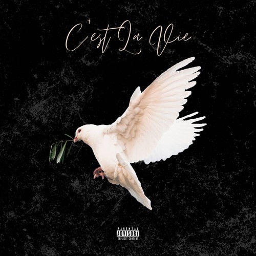 C'est La Vie (Explicit)