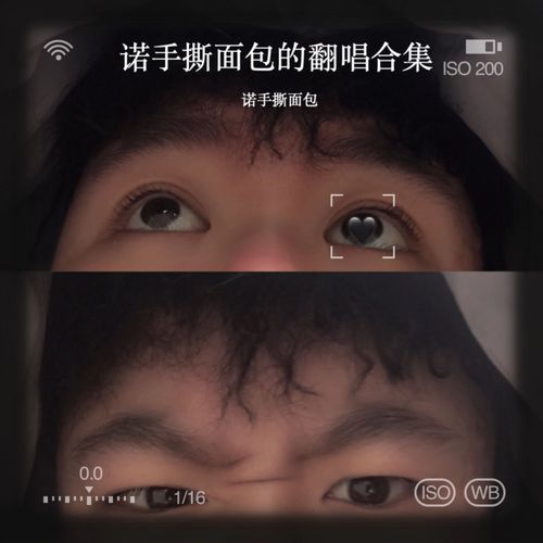 诺手撕面包的翻唱合集