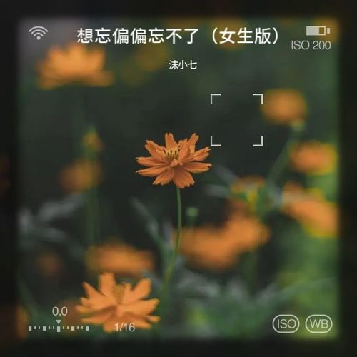 想忘偏偏忘不了（女生版）