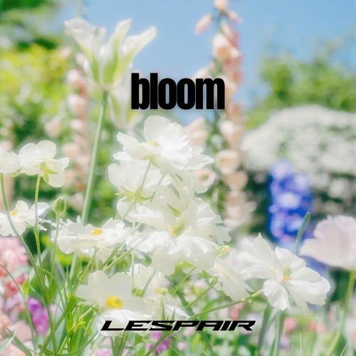 bloom