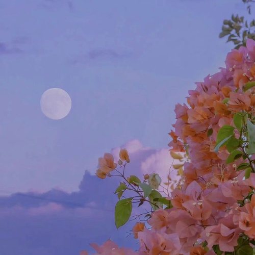 经典歌曲钢琴集 | 抖音热门歌曲2022最火钢琴版