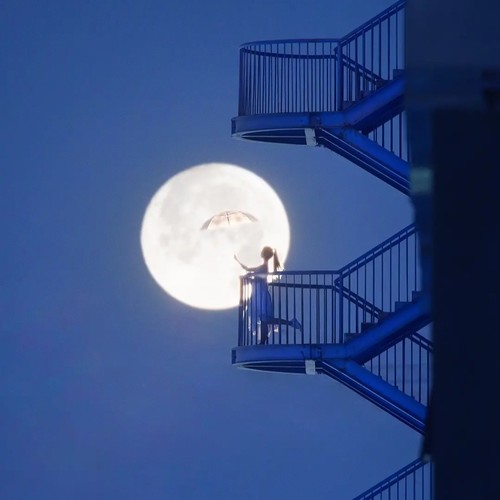 最后一页(翻唱)