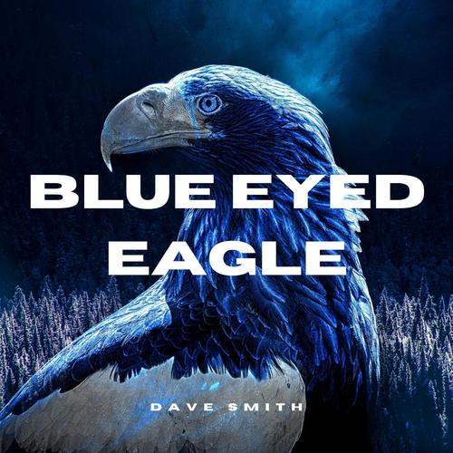 Blue Eyed Eagle