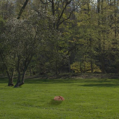 Ego Death (Explicit)