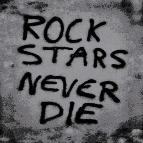 Rockstar Vibes (Explicit)