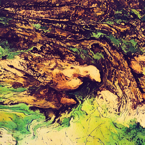 Tree Fall (Explicit)