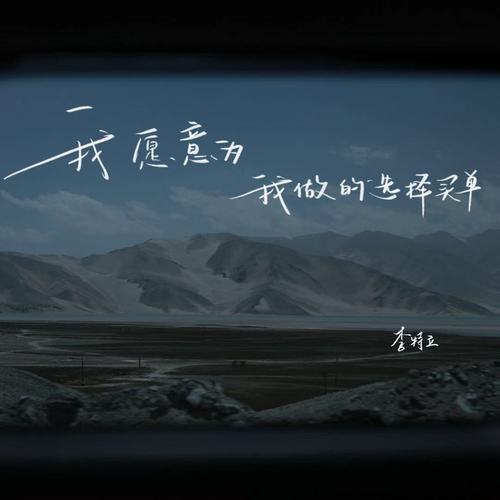 我愿意为我做的选择买单