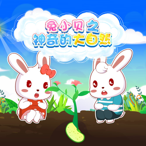 兔小贝之神奇的大自然