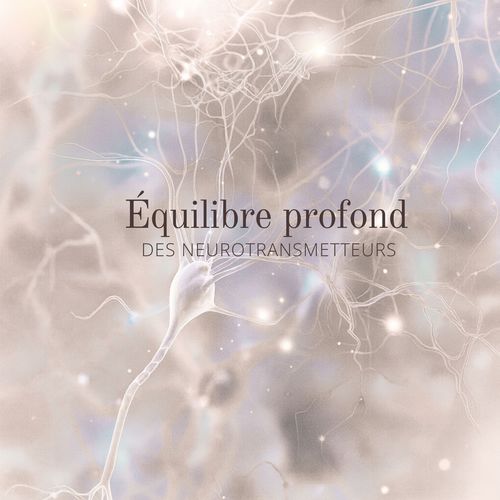 Équilibre profond des neurotransmetteurs