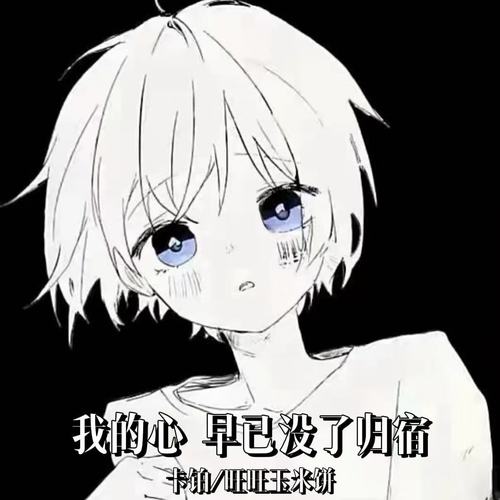 我的心 早已没了归宿