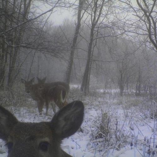 killing me!!! (feat. Djembe) [Explicit]