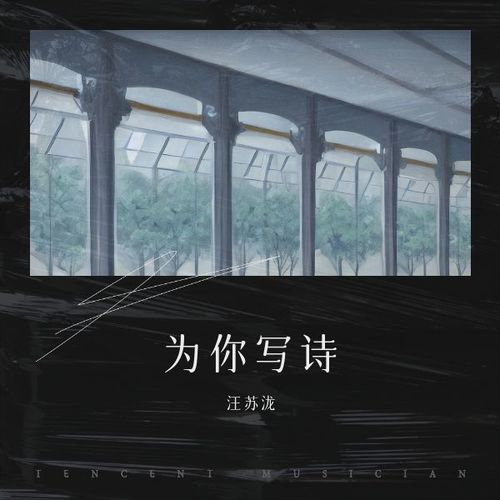 为你写诗