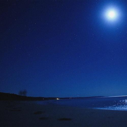 ant speed (feat. IDK) [Explicit]