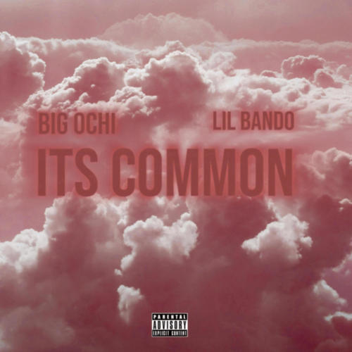 Its Common (freestyle) (feat. Big Ochi)
