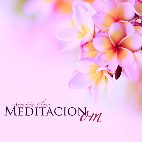 Meditacion Om - Musica Relajante de Meditacion Diaria con Sonidos de la Naturaleza Spa para Tecnicas de Meditacion y Atencion Plena