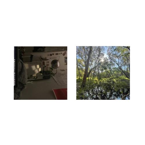 afternoon/morning