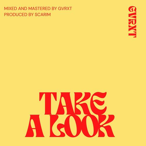 TAKE A LOOK (Alternative Mix) [Explicit]