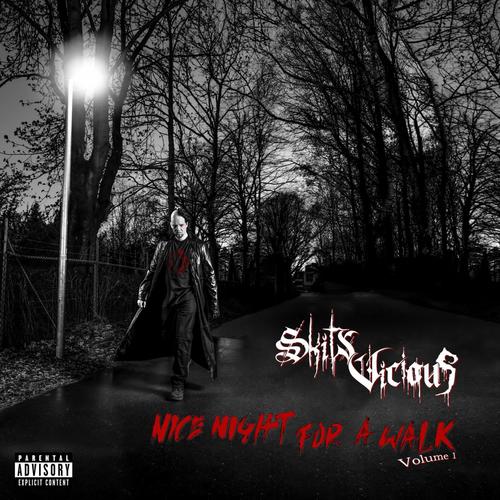 NICE NIGHT FOR A WALK | VOLUME 1 (Explicit)