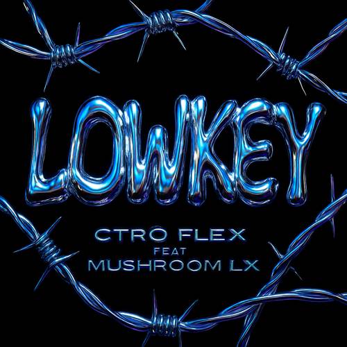 LOWKEY (Ft. Mushroom LX) [Explicit]