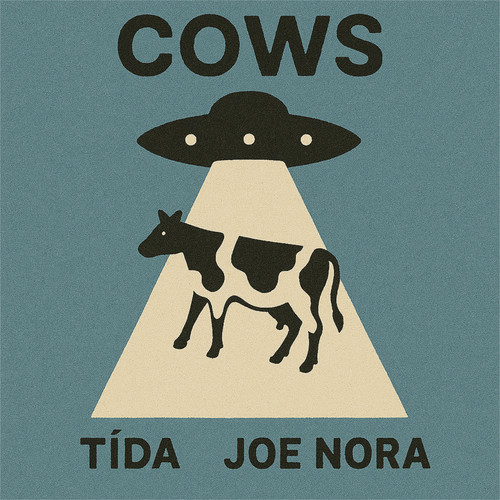 Cows