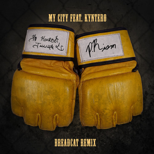 My City - Breadcat (Remix)