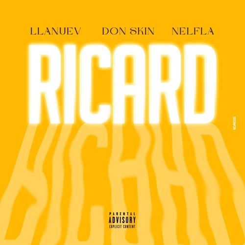 Ricard (feat. Don Skin & Nelfla) [Explicit]