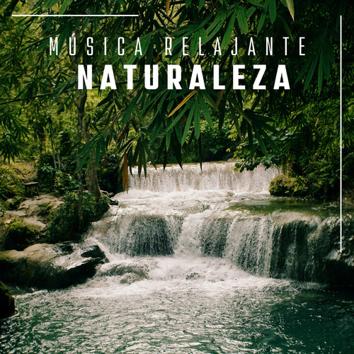 Música Relajante Naturaleza