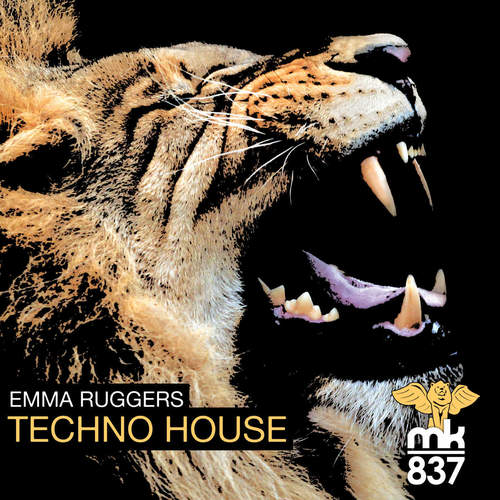 Techno House
