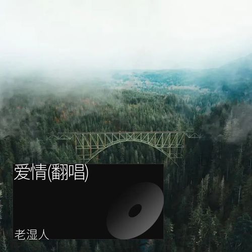 爱情(翻唱)