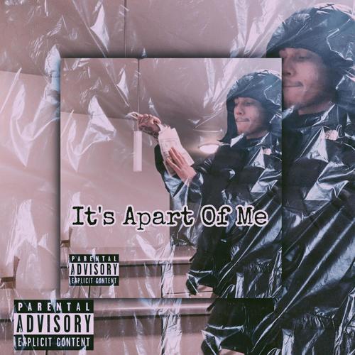 It's Apart Of Me (Explicit)