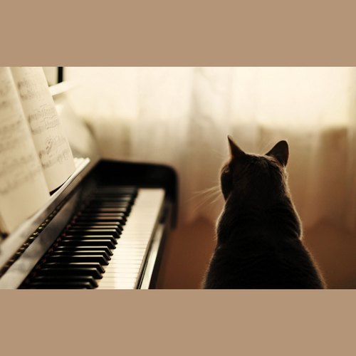 梅舒涵-钢琴翻弹