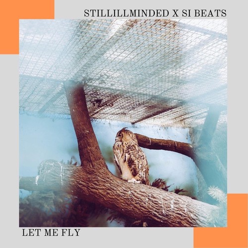 Let Me Fly (Explicit)