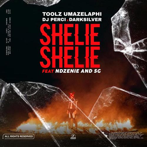 Shellie Shellie (feat. Toolz Umazelaphi, DarkSilver, Ndzenie & SG)
