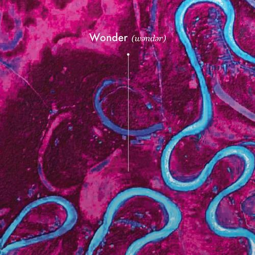 Wonder