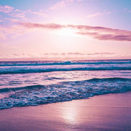 和 你 遨 游 梦 境