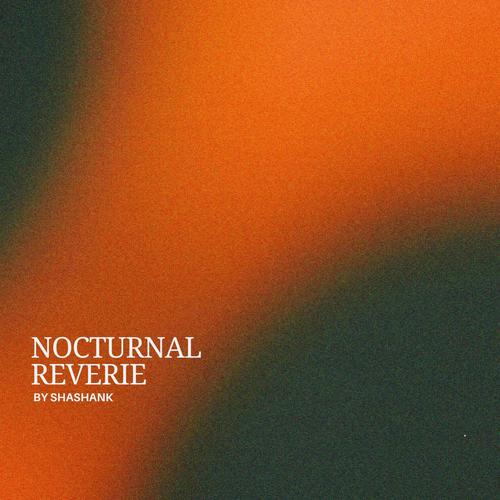 nocturnal reverie
